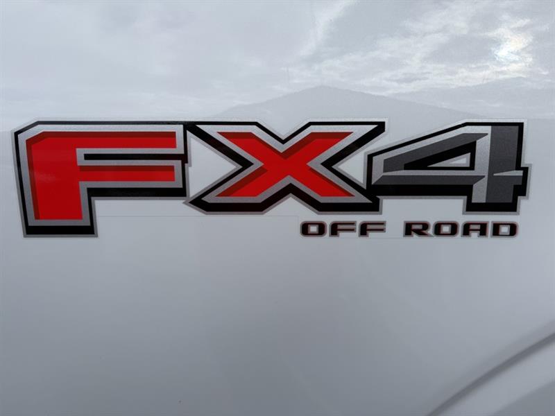 ford F-150 2022 - 10