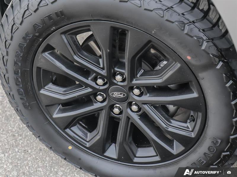 ford F-150 2024 - 19