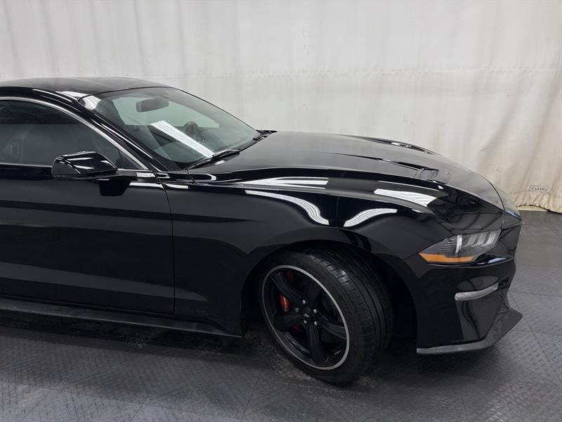 ford Mustang 2019 - 14