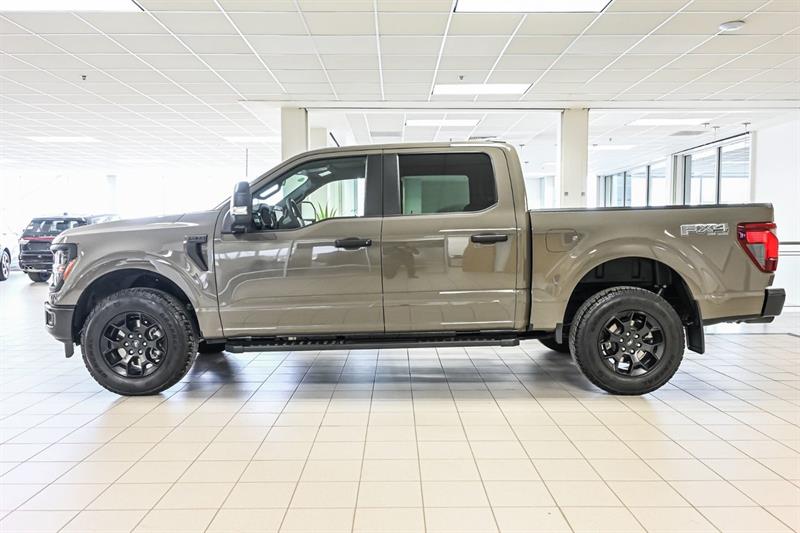 ford F-150 2025 - 12
