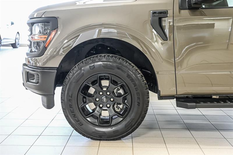 ford F-150 2025 - 14