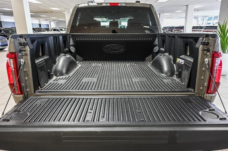 ford F-150 2025 - 19