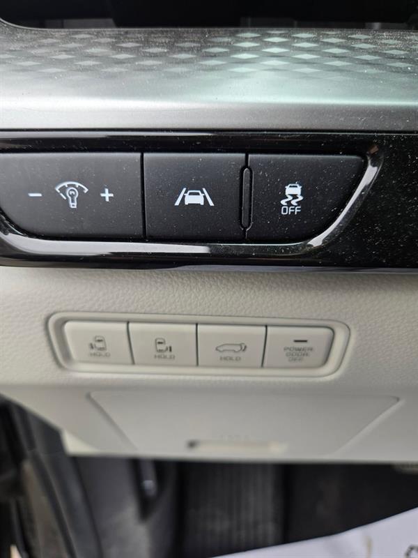 kia Carnival 2023 - 17