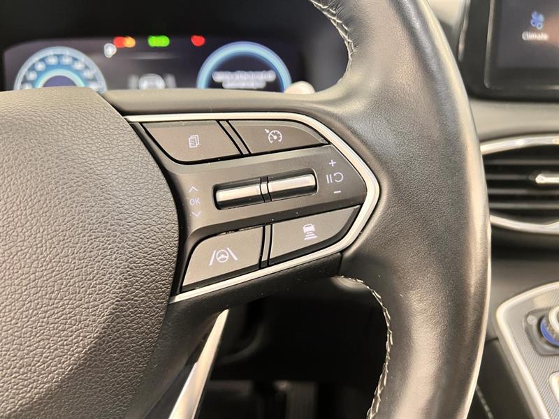 hyundai Santa Fe hybride 2023 - 29