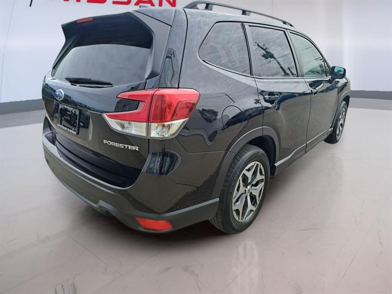 subaru Forester 2024 - 5