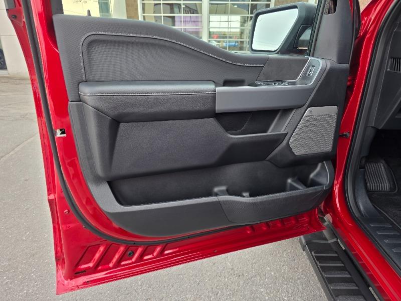 ford F-150 2025 - 19