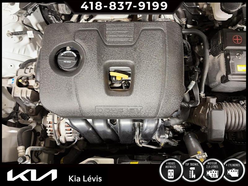 kia Seltos 2023 - 15