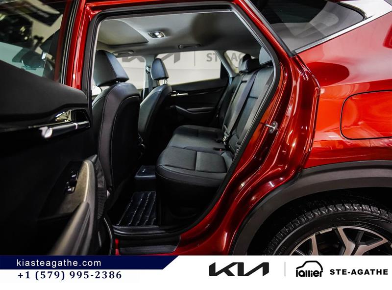 kia Seltos 2023 - 15