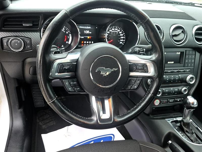 ford Mustang 2017 - 14