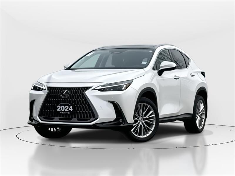 lexus NX 350 2024