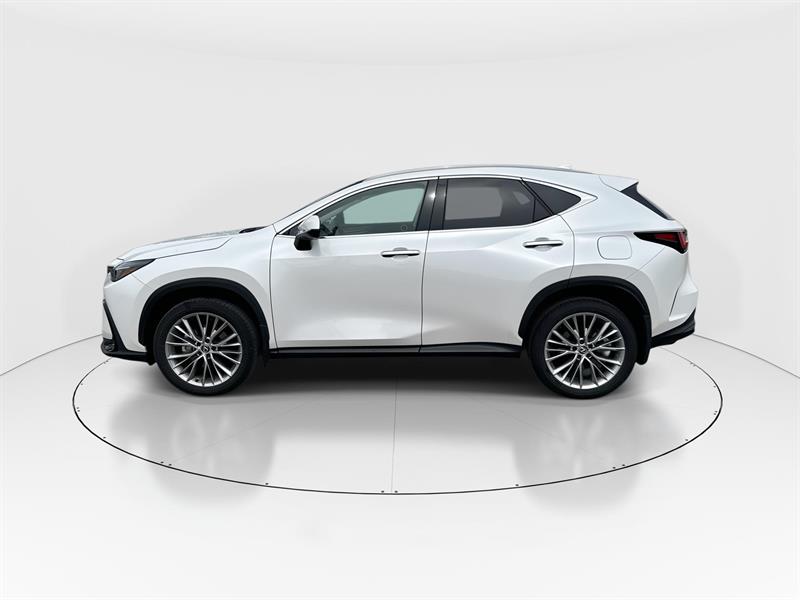 lexus NX 350 2024 - 5