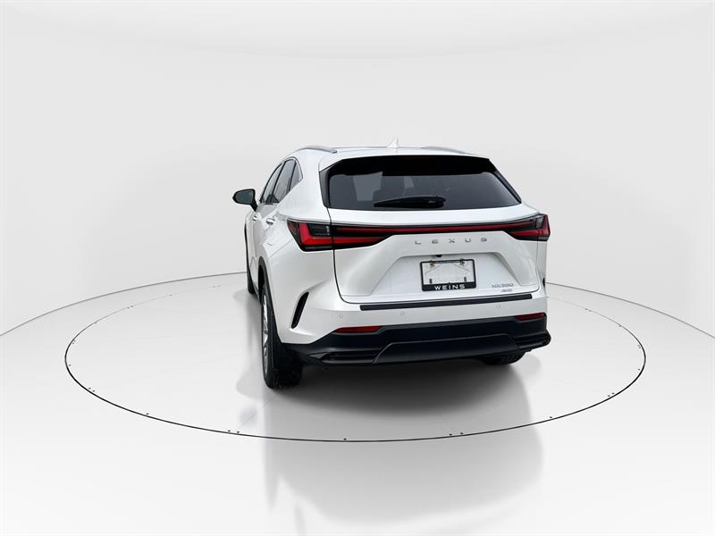 lexus NX 350 2024 - 6