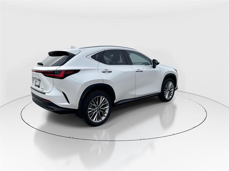 lexus NX 350 2024 - 8
