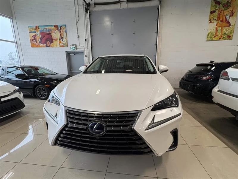lexus NX 300h 2021 - 2