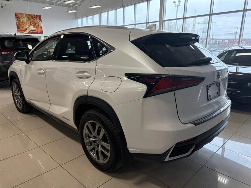 lexus NX 300h 2021 - 4