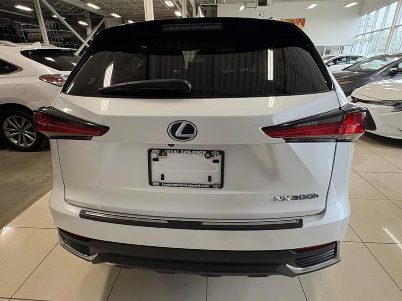 lexus NX 300h 2021 - 5