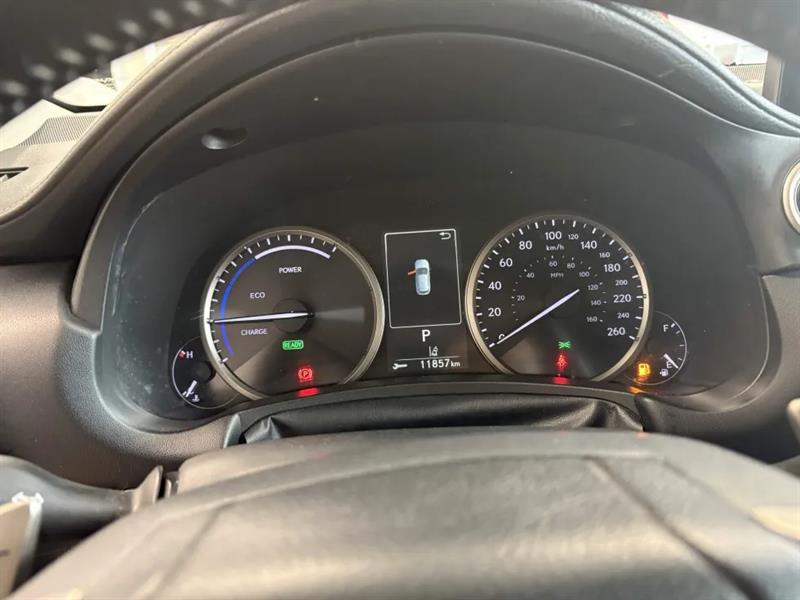 lexus NX 300h 2021 - 8