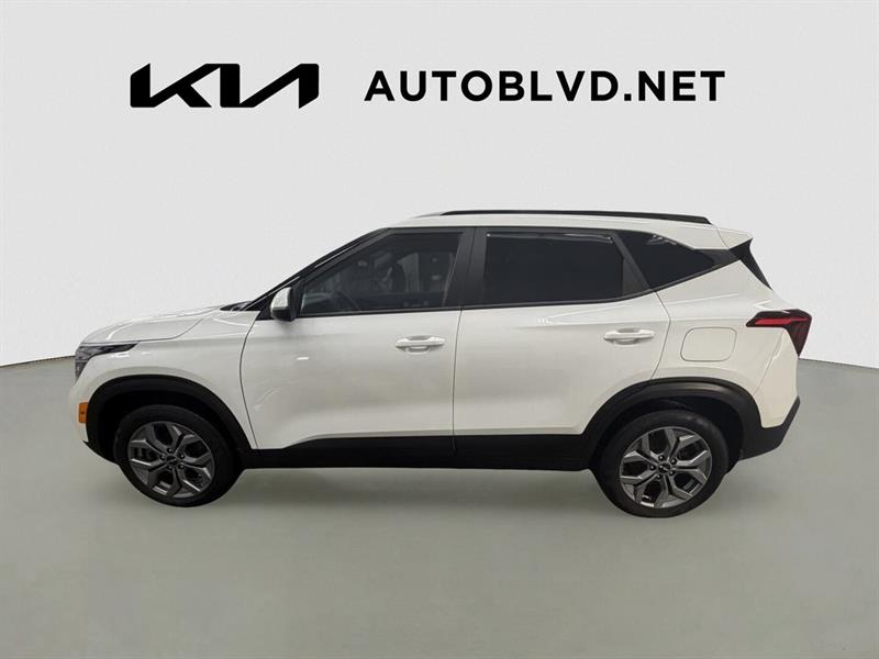 kia Seltos 2024 - 2