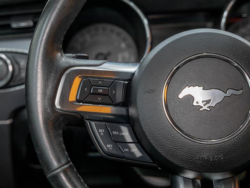 ford Mustang 2017 - 14