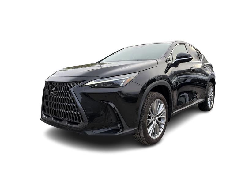lexus NX 2024