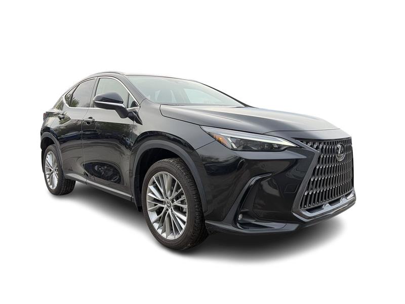 lexus NX 2024 - 2