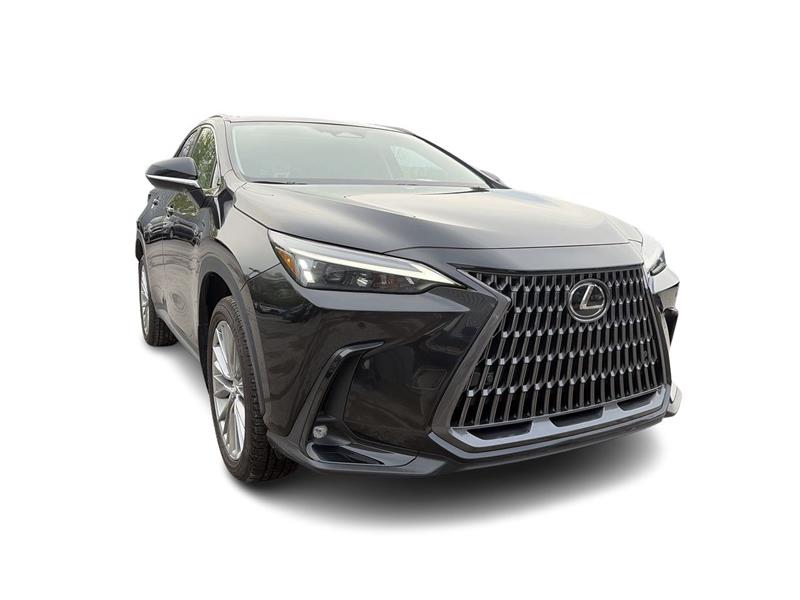 lexus NX 2024 - 3