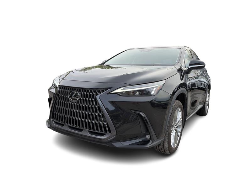 lexus NX 2024 - 5
