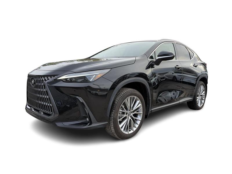 lexus NX 2024 - 6