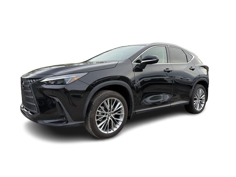 lexus NX 2024 - 7
