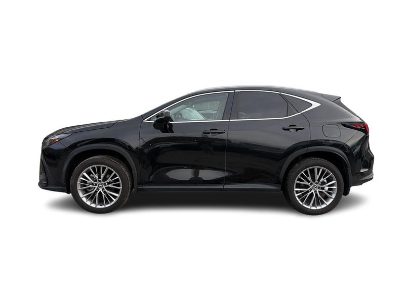 lexus NX 2024 - 8