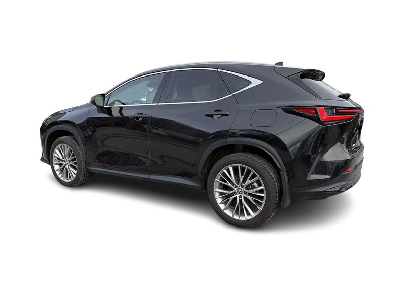 lexus NX 2024 - 9