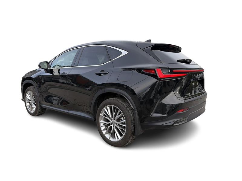 lexus NX 2024 - 10