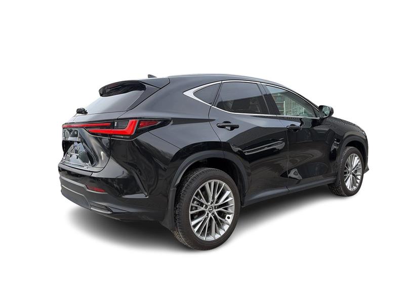 lexus NX 2024 - 14