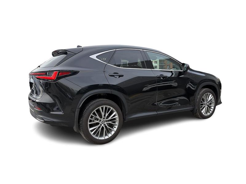 lexus NX 2024 - 15