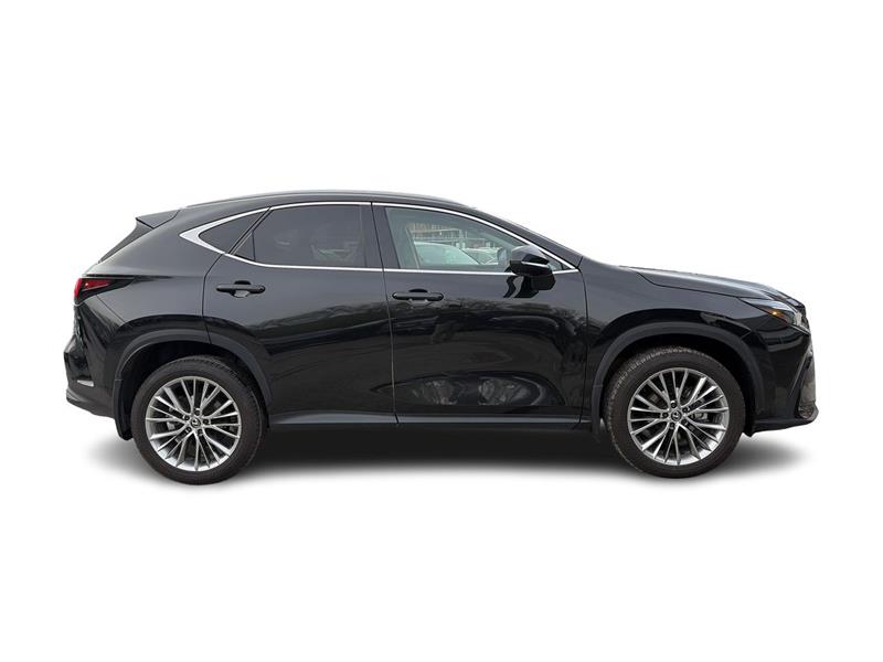 lexus NX 2024 - 16