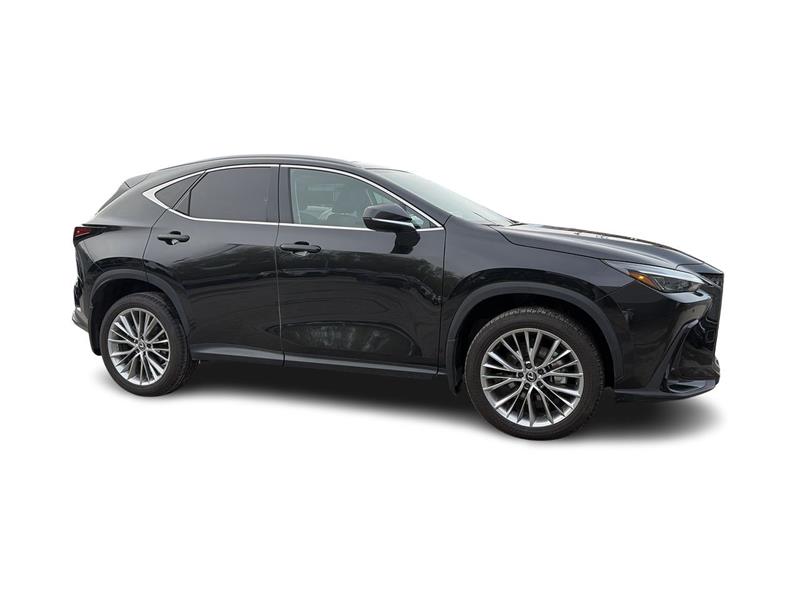 lexus NX 2024 - 17