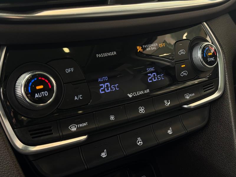hyundai Santa Fe 2020 - 17