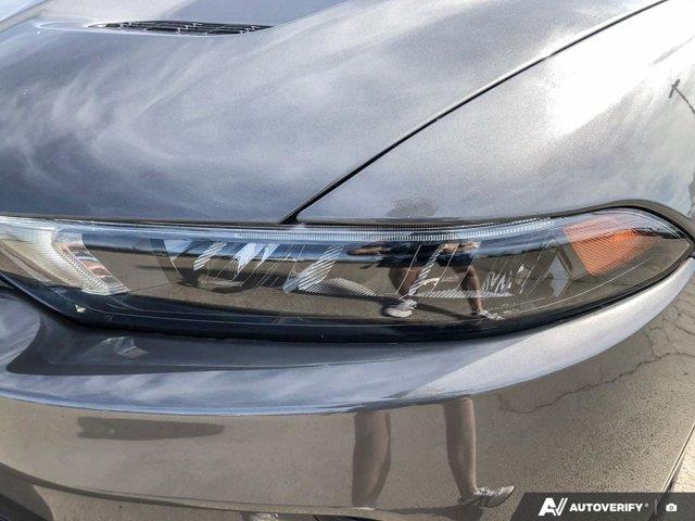 dodge Hornet 2024 - 10