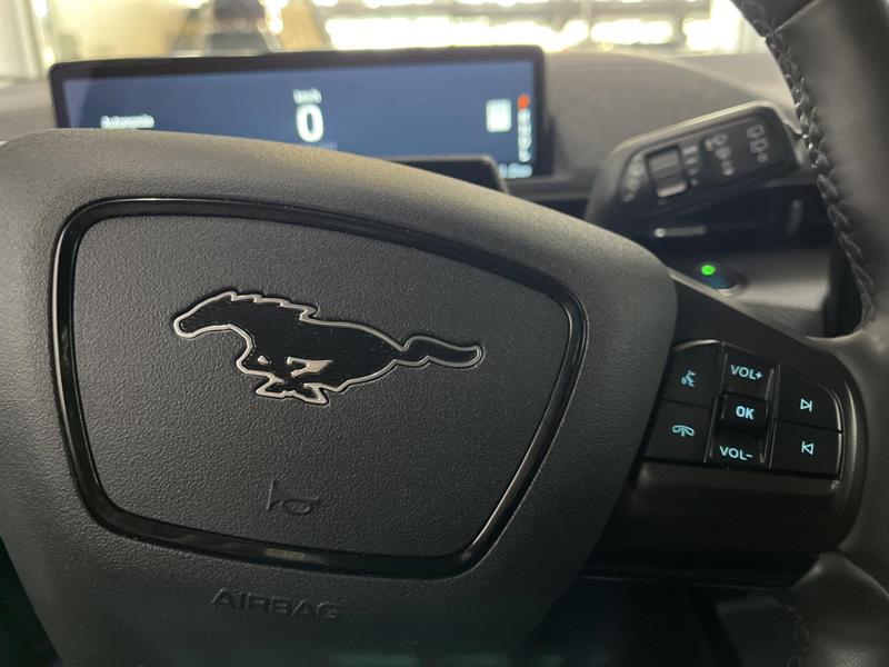 ford Mustang Mach-E 2021 - 14
