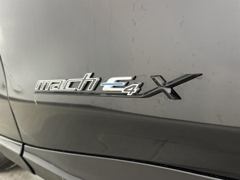 ford Mustang Mach-E 2021 - 20
