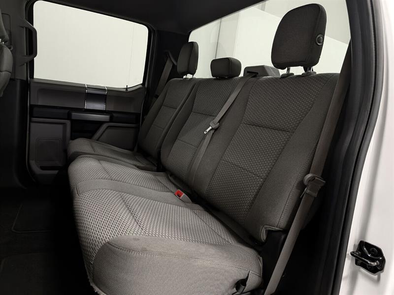 ford F-150 2019 - 10