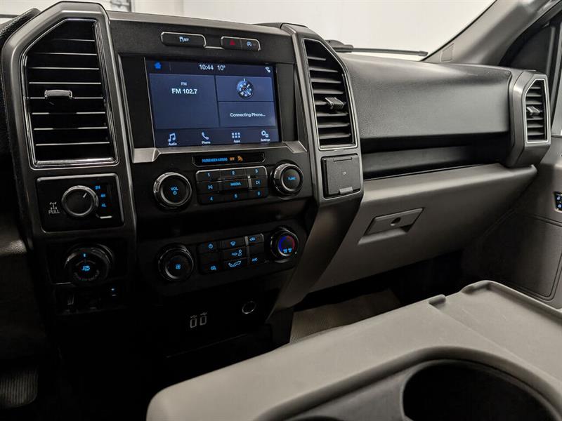 ford F-150 2019 - 13