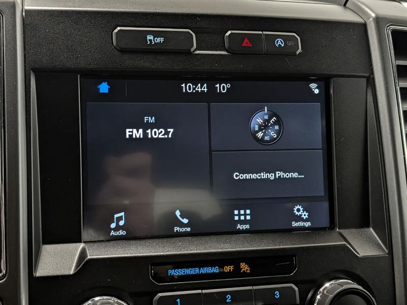ford F-150 2019 - 14