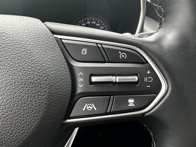 hyundai Santa Fe 2022 - 22
