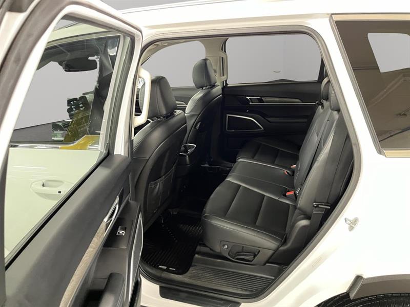 kia Telluride 2021 - 17