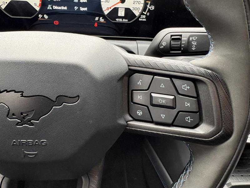 ford Mustang 2024 - 19
