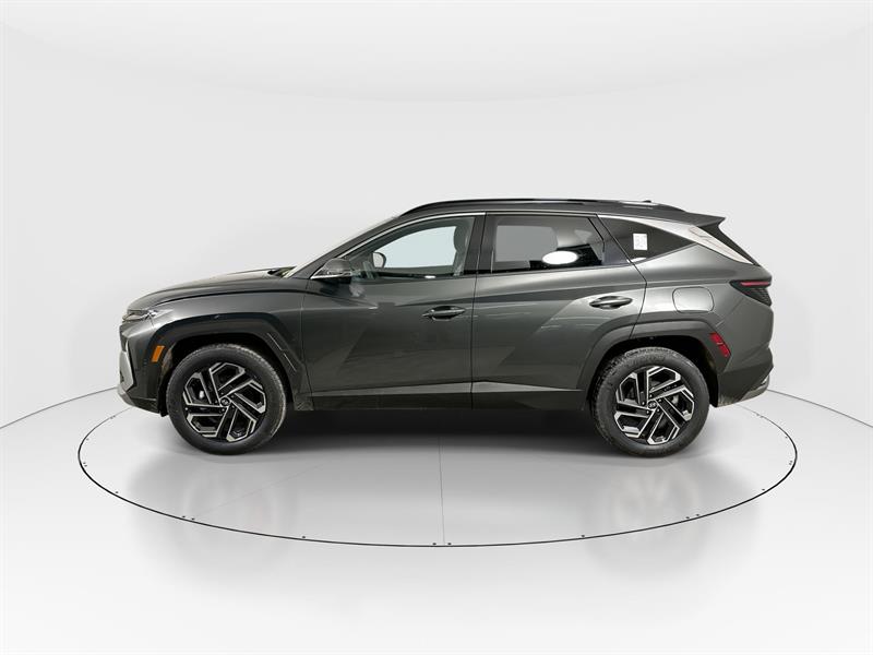 hyundai Tucson hybride 2026 - 4