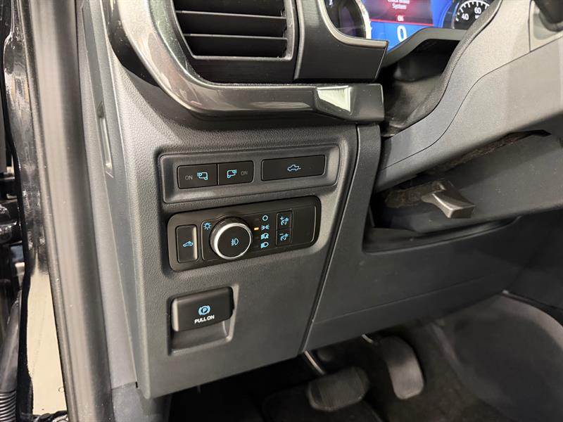 ford F-150 2022 - 14