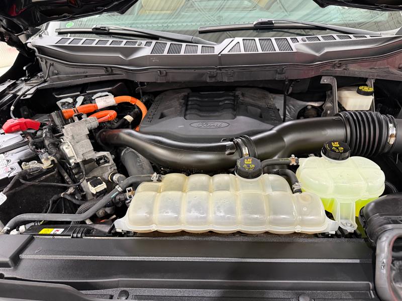 ford F-150 2021 - 27