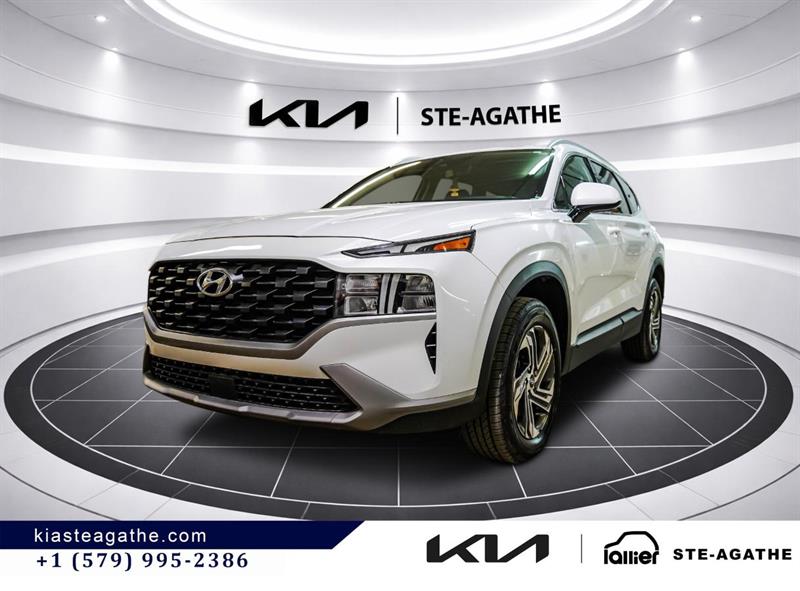 hyundai Santa Fe 2021 - 3
